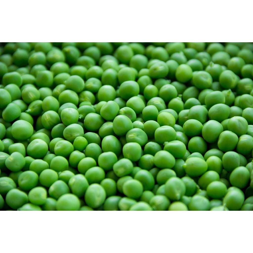 Erbsen Samen