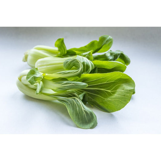 Pak Choi Samen