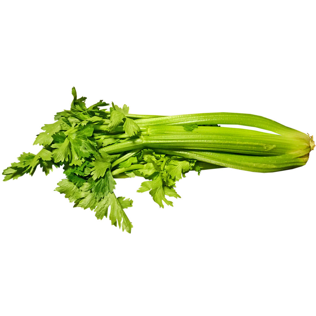 Sellerie Samen