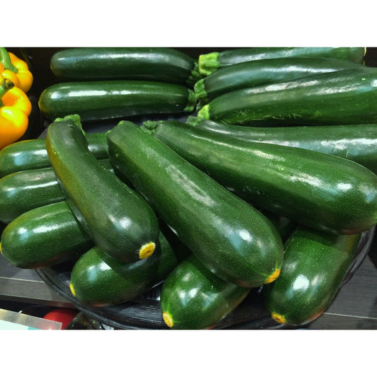 Zucchini Samen